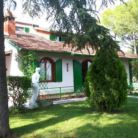 I Pini House Villa Magione Eksteriør billede