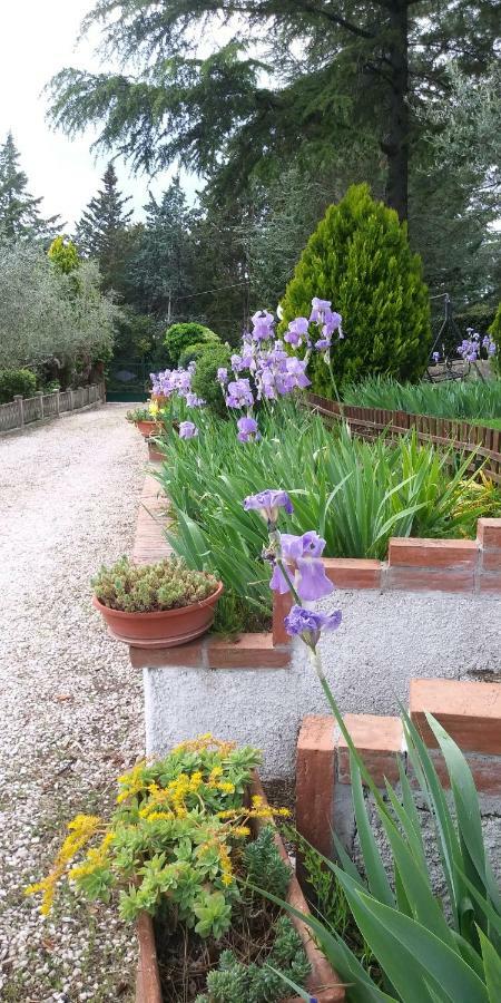I Pini House Villa Magione Eksteriør billede